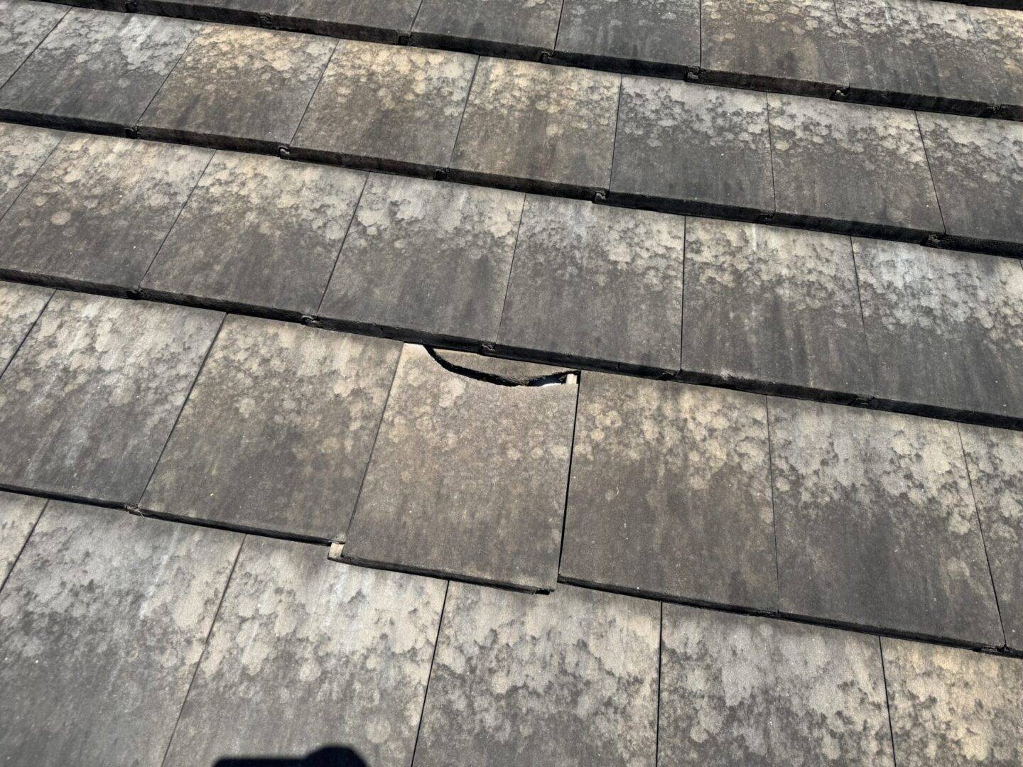 Damaged Eagle Roof Tile