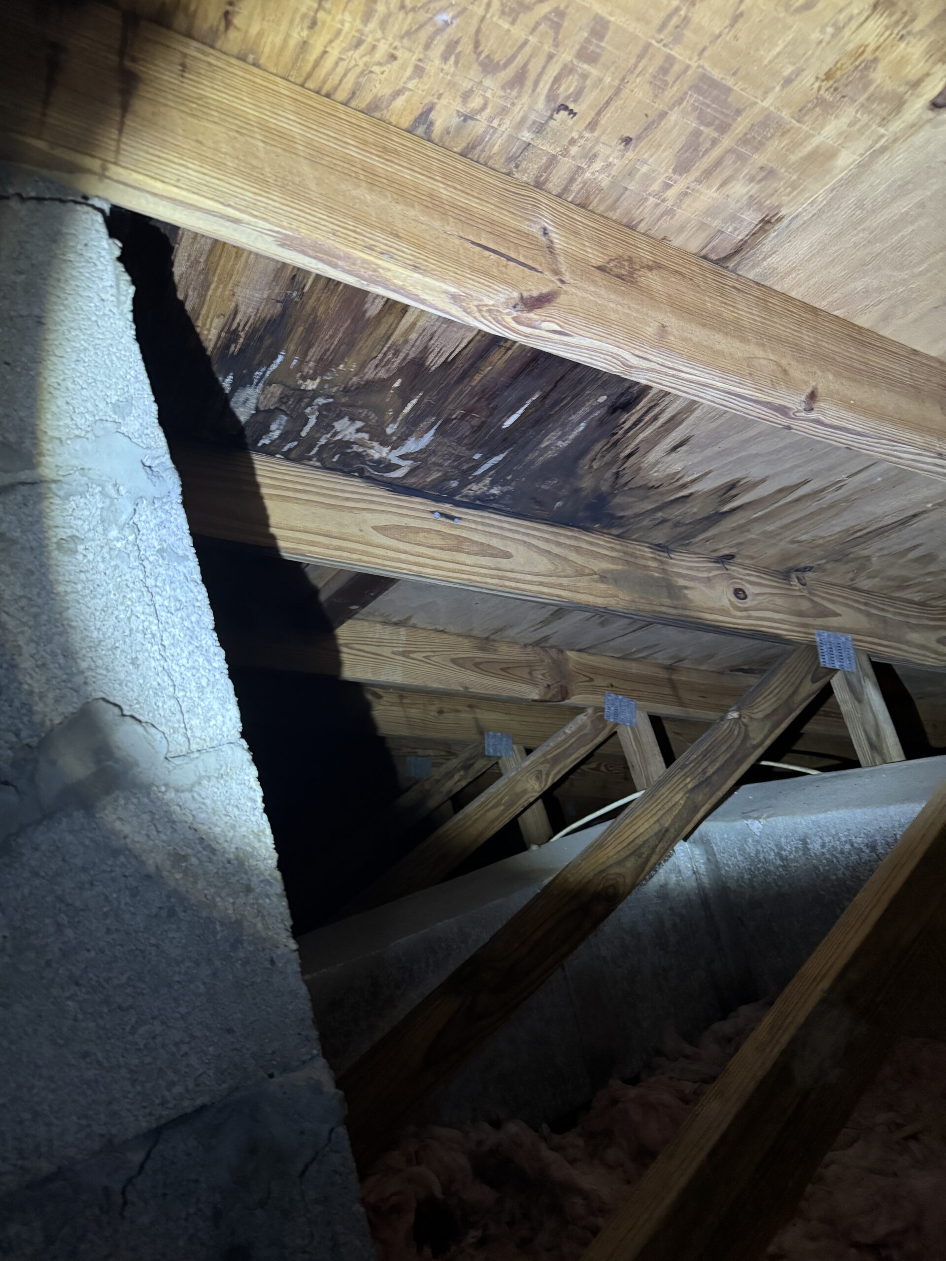 Tile Roof leak Attic View