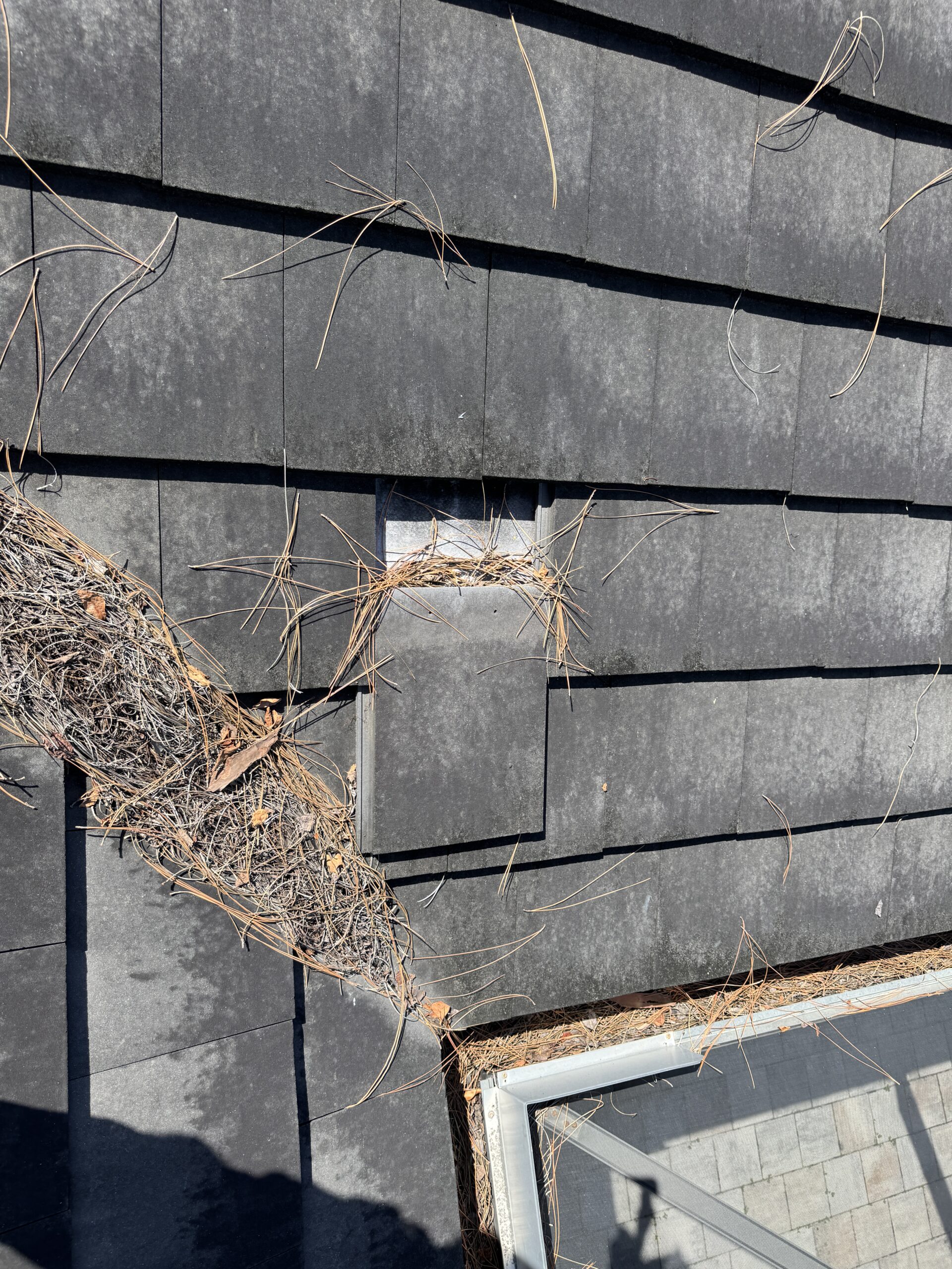 Loose Roof Tile in Fort Myers, FL
