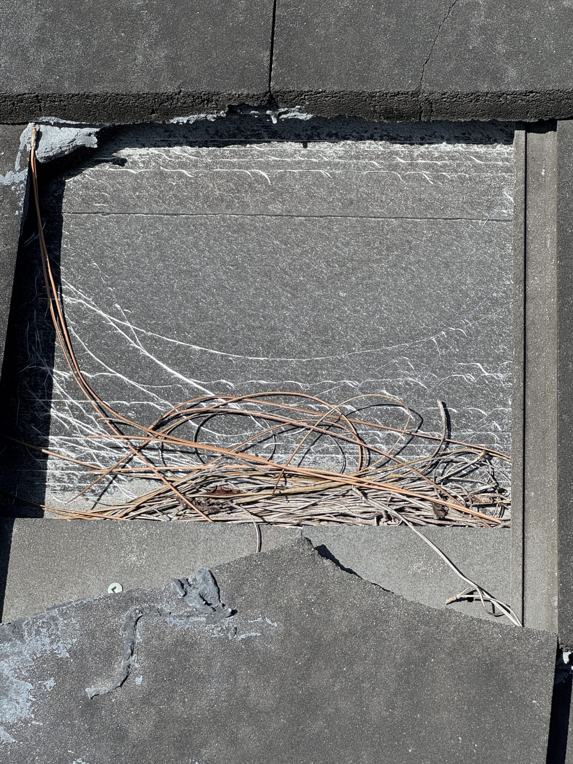 Sun Burned Roof Underlayment in For Myers, FL