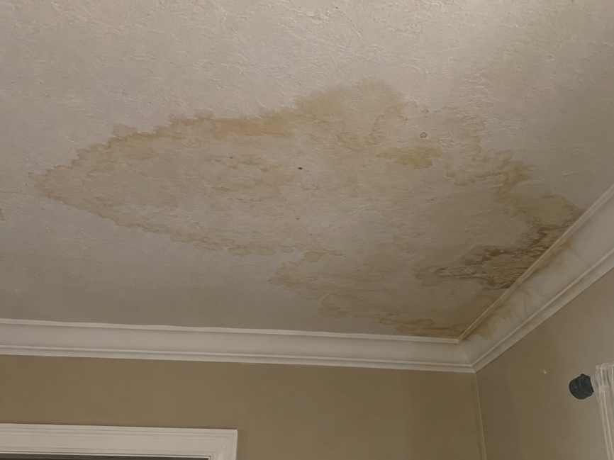 Tile Roof Ceiling Water Damage Inspection